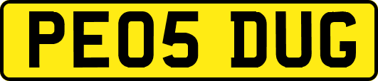 PE05DUG