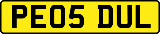 PE05DUL