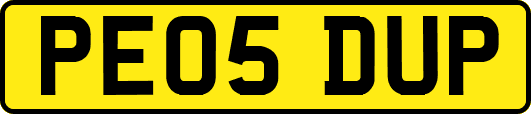 PE05DUP