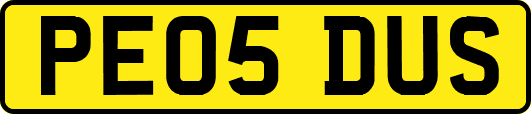 PE05DUS
