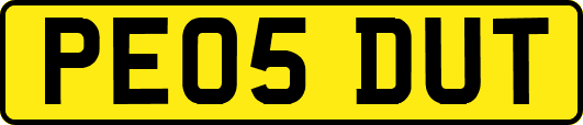PE05DUT