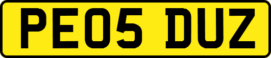 PE05DUZ