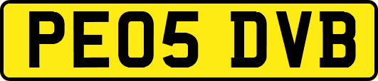 PE05DVB
