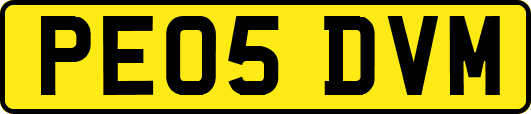PE05DVM
