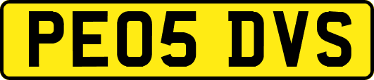 PE05DVS