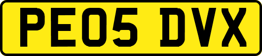 PE05DVX