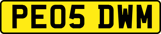 PE05DWM