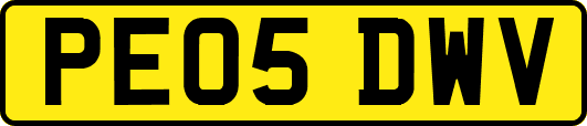 PE05DWV