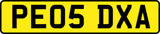 PE05DXA