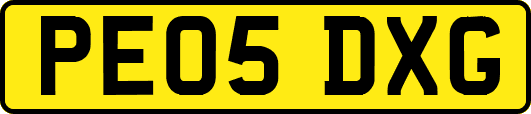 PE05DXG