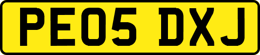 PE05DXJ