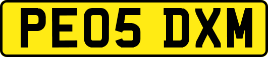 PE05DXM