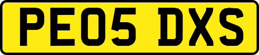 PE05DXS