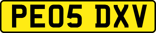 PE05DXV