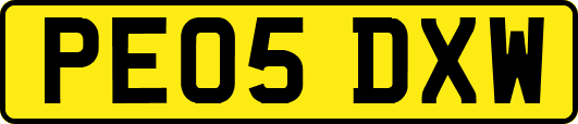 PE05DXW