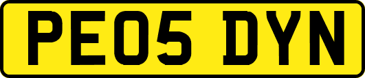 PE05DYN