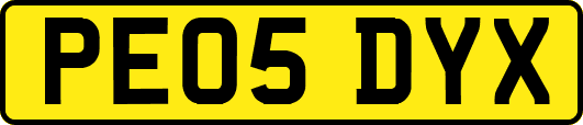 PE05DYX