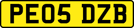 PE05DZB