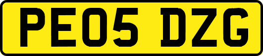 PE05DZG