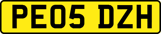 PE05DZH