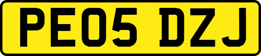 PE05DZJ