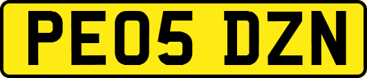 PE05DZN