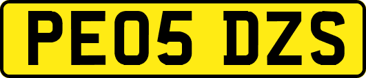 PE05DZS
