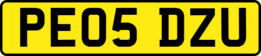 PE05DZU