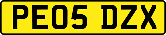 PE05DZX