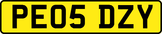 PE05DZY