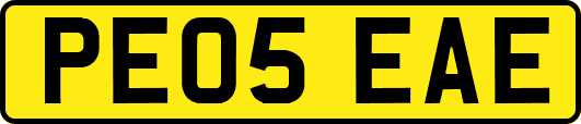 PE05EAE