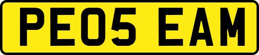 PE05EAM