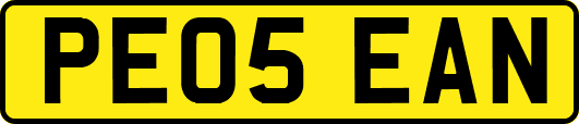 PE05EAN