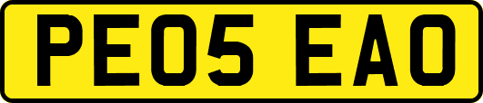 PE05EAO