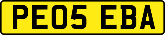 PE05EBA