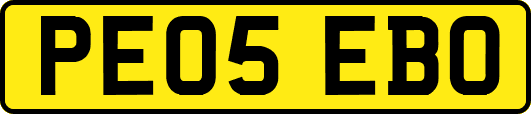 PE05EBO