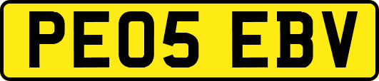 PE05EBV