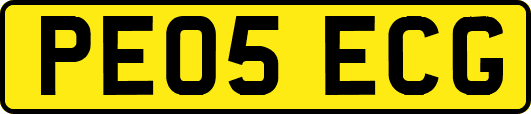 PE05ECG