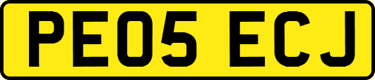 PE05ECJ