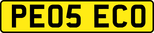 PE05ECO