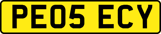 PE05ECY
