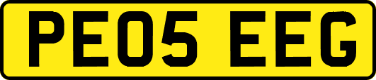 PE05EEG