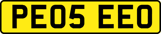 PE05EEO