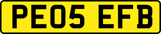 PE05EFB