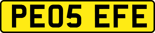 PE05EFE