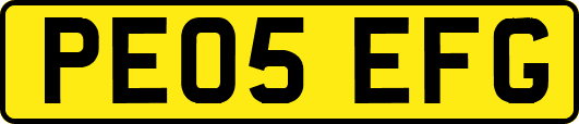 PE05EFG
