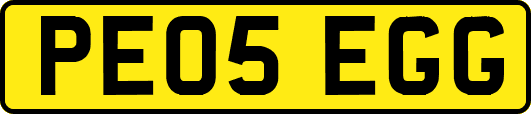 PE05EGG