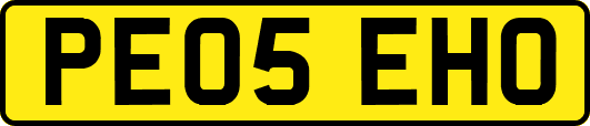 PE05EHO