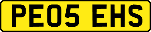 PE05EHS