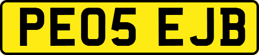 PE05EJB